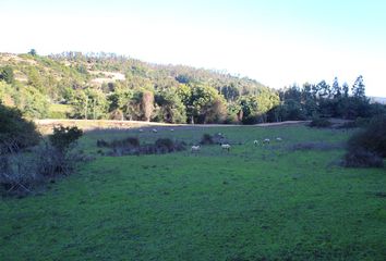 Parcela en  Navidad, Cardenal Caro