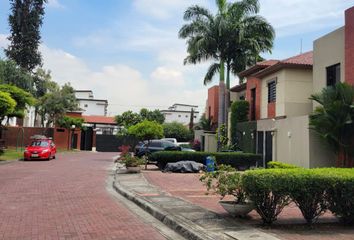 Casa en  Urbanización Entre Olivos, Calle Santa Maria, Samborondón, Ecuador