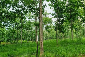 Lotes y Terrenos en  Green Dream Pty, Las Mendozas, Panama, Las Mendozas, Panamá