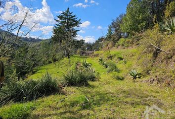 Lote de Terreno en  Mineral Del Chico, Hidalgo