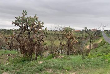 Lote de Terreno en  Rancho Nuevo Villa De Guadalupe, Guanajuato, México