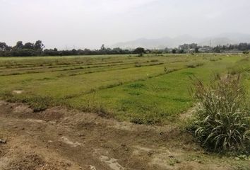 Terreno en  Mala, Perú