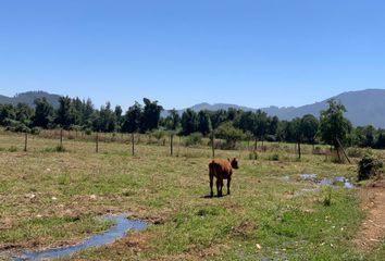 Parcela en  San Clemente, Talca