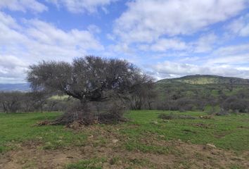 Parcela en  Hualañé, Curicó