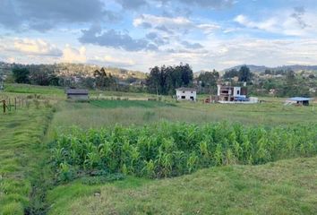 Terreno Comercial en  Valle, Cuenca