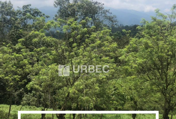 Hacienda-Quinta en  Cumanda, Ecuador