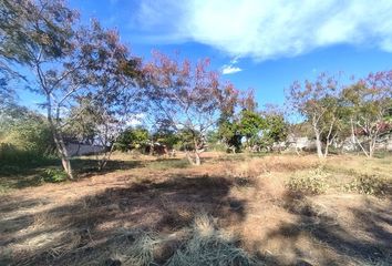 Lote de Terreno en  Yautepec Centro, Yautepec De Zaragoza