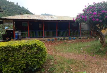 Villa-Quinta en  San Marcos, Sevilla, Valle Del Cauca, Colombia