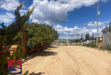 Lote de Terreno en  Carretera El Sauzal De Rodríguez-tecate, Ensenada, Baja California, Mex