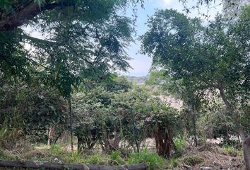 Lote de Terreno en  Bosque De Los Colomos, Las Cañadas, Jalisco, México