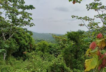 Villa-Quinta en  Parque Tayrona, Vía Parque Tayrona, Santa Marta, Magdalena, Colombia