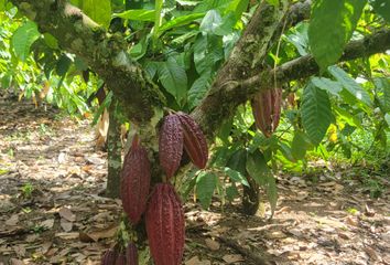 Hacienda-Quinta en  Puerto Quito, San Miguel De Los Bancos