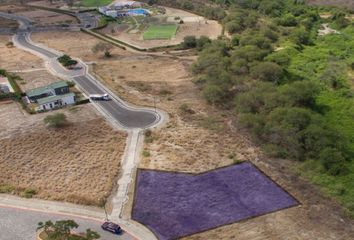 Terreno Comercial en  S/n, Via Manta - Montecristi, Montecristi, Montecristi, Manabí, Ecuador