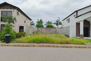 Terreno Comercial en  Ciudad Celeste, Samborondón, Ecuador