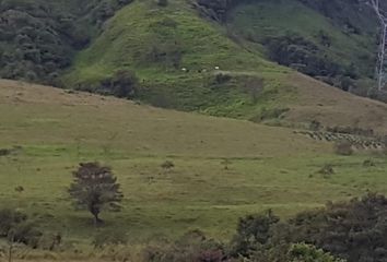 Hacienda-Quinta en  El Chaco, Ecuador