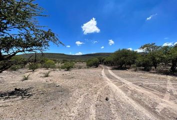 Rancho en  San José Iturbide Centro, San José Iturbide