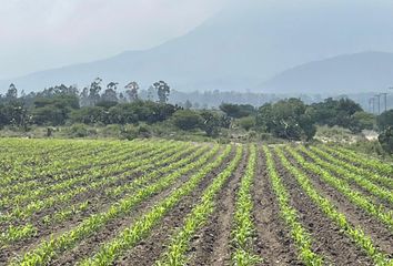 Lote de Terreno en  Texcoco, México, Mex