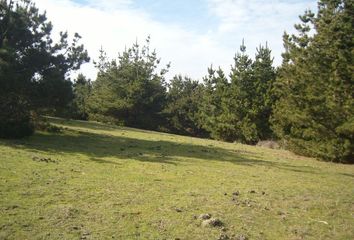 Parcela en  Vichuquén, Curicó