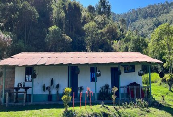 Villa-Quinta en  Vereda La Miel, Sendero, Caldas, Antioquia, Colombia
