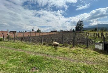 Terreno Comercial en  Loja