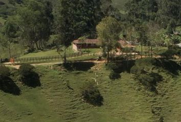 Villa-Quinta en  Carolina, Antioquia, Colombia
