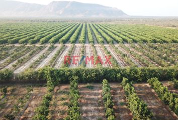 Terreno en  Olmos, Lambayeque