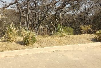 Lote de Terreno en  Olivos, Rancho San Juan, Ciudad López Mateos, Estado De México, México