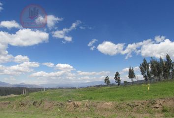 Terreno Comercial en  Píntag, Quito