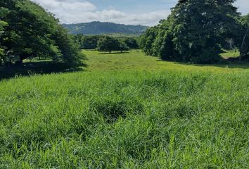 Villa-Quinta en  San Juan Nepomuceno, Bolívar