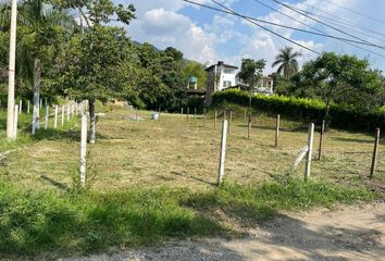 Lote de Terreno en  Urb. El Paraíso, Palmira