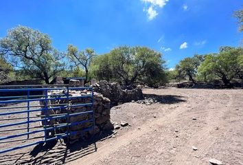 Lote de Terreno en  Gto-100, El Capulín, San José Iturbide, Guanajuato, 37991, Mex