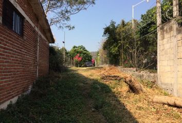 Lote de Terreno en  Pueblo Alpuyeca, Xochitepec, Morelos