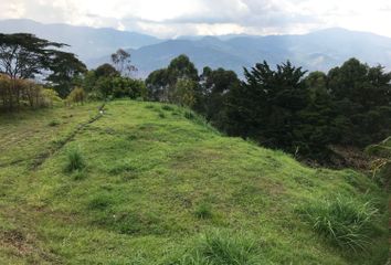 Lote de Terreno en  Urbanización Mirador De Santa Catalina, Carrera 10, Casaloma, Medellín, Antioquia, Colombia