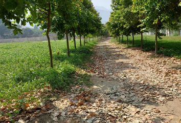 Terreno en  Cieneguilla, Lima