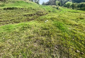 Terreno Comercial en  Punzara Grande, Loja, Ecuador