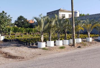 Lote de Terreno en  Morelos, México