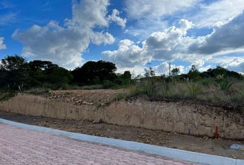 Lote de Terreno en  Rancho San Juan, Ciudad López Mateos, Estado De México, México