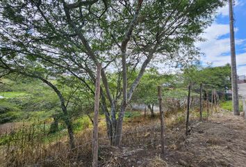 Terreno Comercial en  Tumbaco, Quito