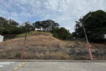 Terreno Comercial en  Ceibos Norte, Guayaquil, Ecuador