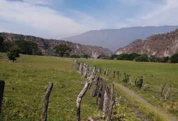 Lote de Terreno en  Rancho O Rancheria Cofradía De Suchitlán, Comala