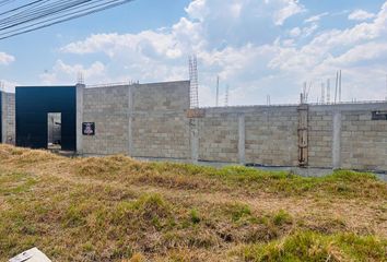 Nave en  Calle Revolución, San Diego De Los Padres Otzacatipan, Toluca, México, 50200, Mex