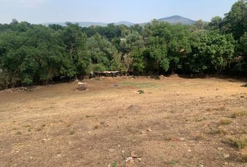 Lote de Terreno en  Acuitzio Del Canje, Michoacán, México