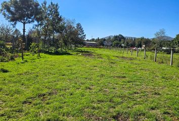 Rancho en  Venta De Guadalupe, Estado De Hidalgo, México