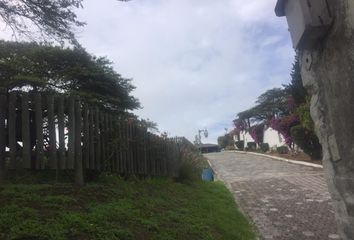 Terreno Comercial en  Puembo, Quito, Ecuador