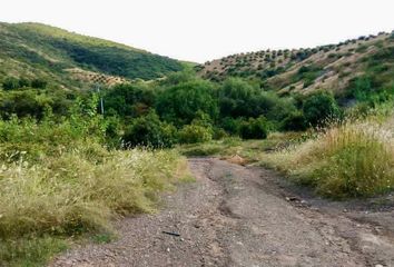 Lote de Terreno en  Fraccionamiento Los Jacales, León