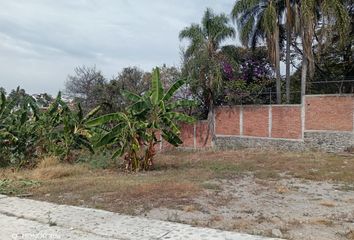 Lote de Terreno en  Avenida Palmira, Palmira, Cuernavaca, Morelos, México