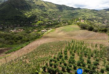 Terreno Comercial en  Malacatos (valladolid), Loja