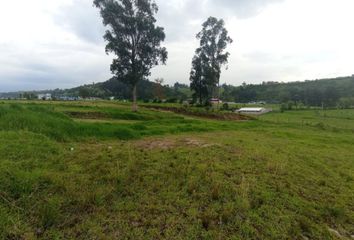 Terreno Comercial en  Celica & Yantsaza, Ecuador