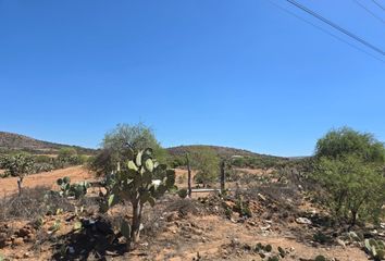 Lote de Terreno en  Zaragoza, San Luis Potosí, Estado San Luis Potosí