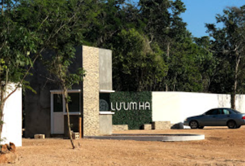 Lote de Terreno en  Leona Vicario, Puerto Morelos, Quintana Roo, México